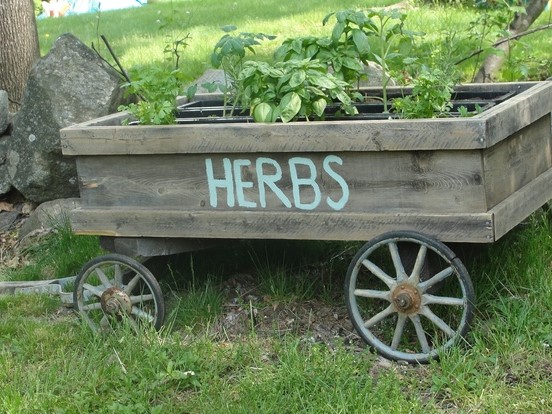 Bylinná záhrada-herb garden